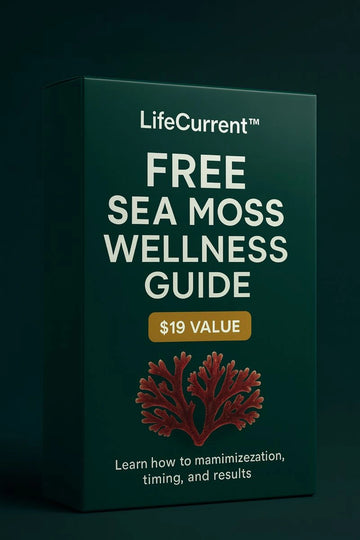 Sea Moss Wellness Guide